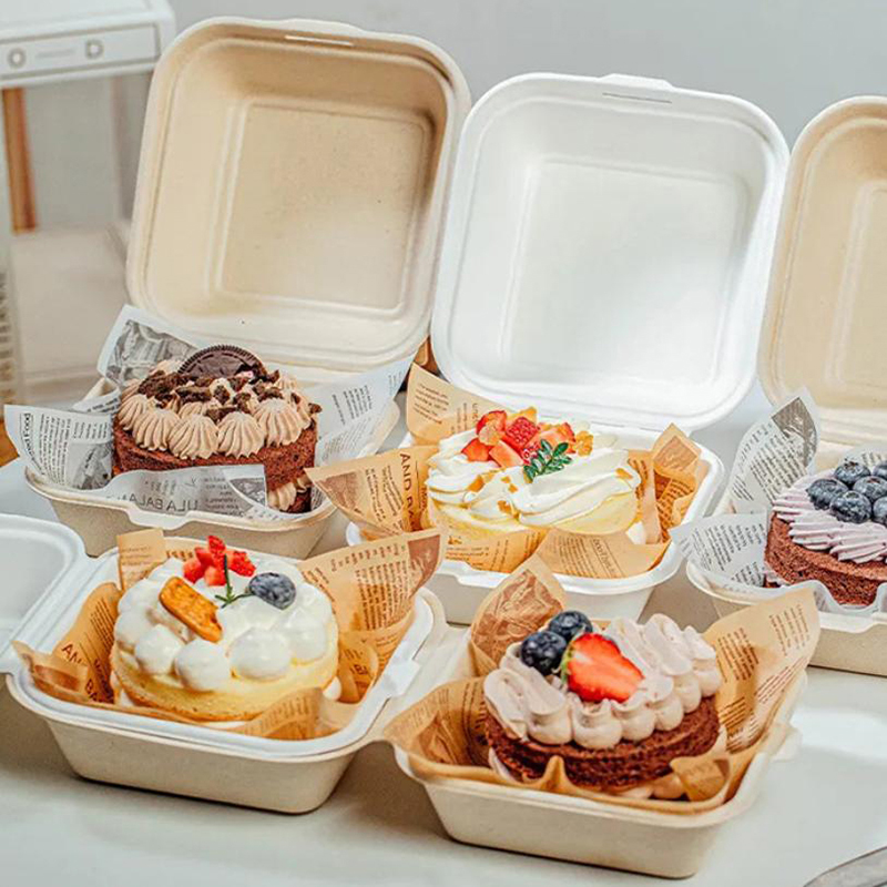 【Nice】10pcs Disposable Bento F - đánh giá và giá Nice Food Snacks